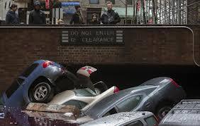 A New York, dopo l'uragano Sandy, si teme l'invasione dei topi