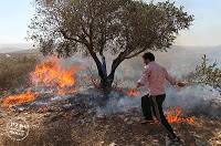 E’ notte nel villaggio di Kufr Qaddum, una notte di settembre